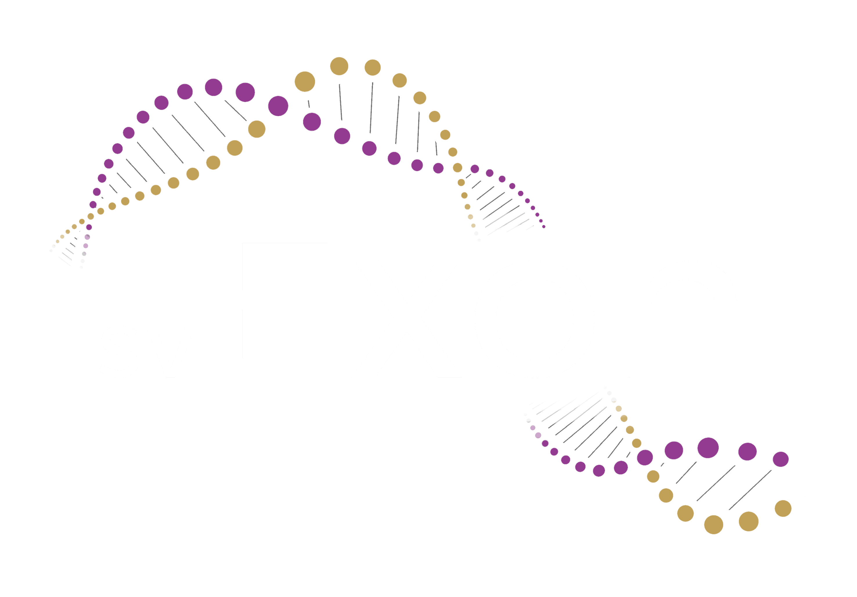 SV Exon logo